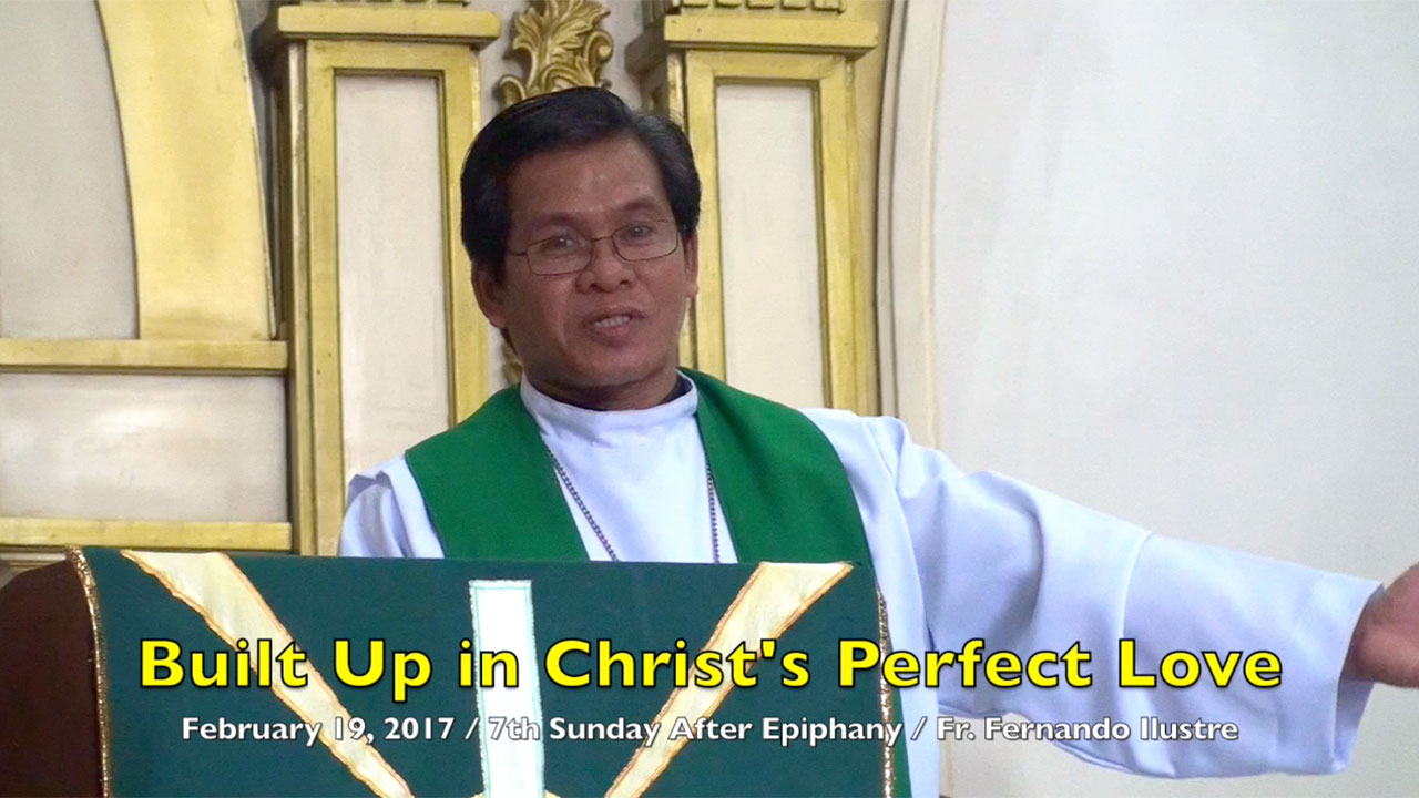 Built Up In Christ’s Perfect Love