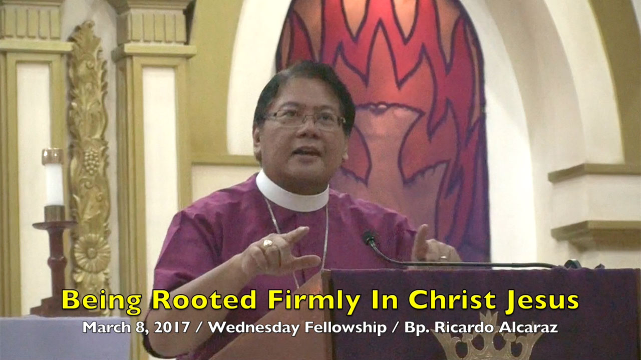 Being Rooted Firmly In Christ Jesus