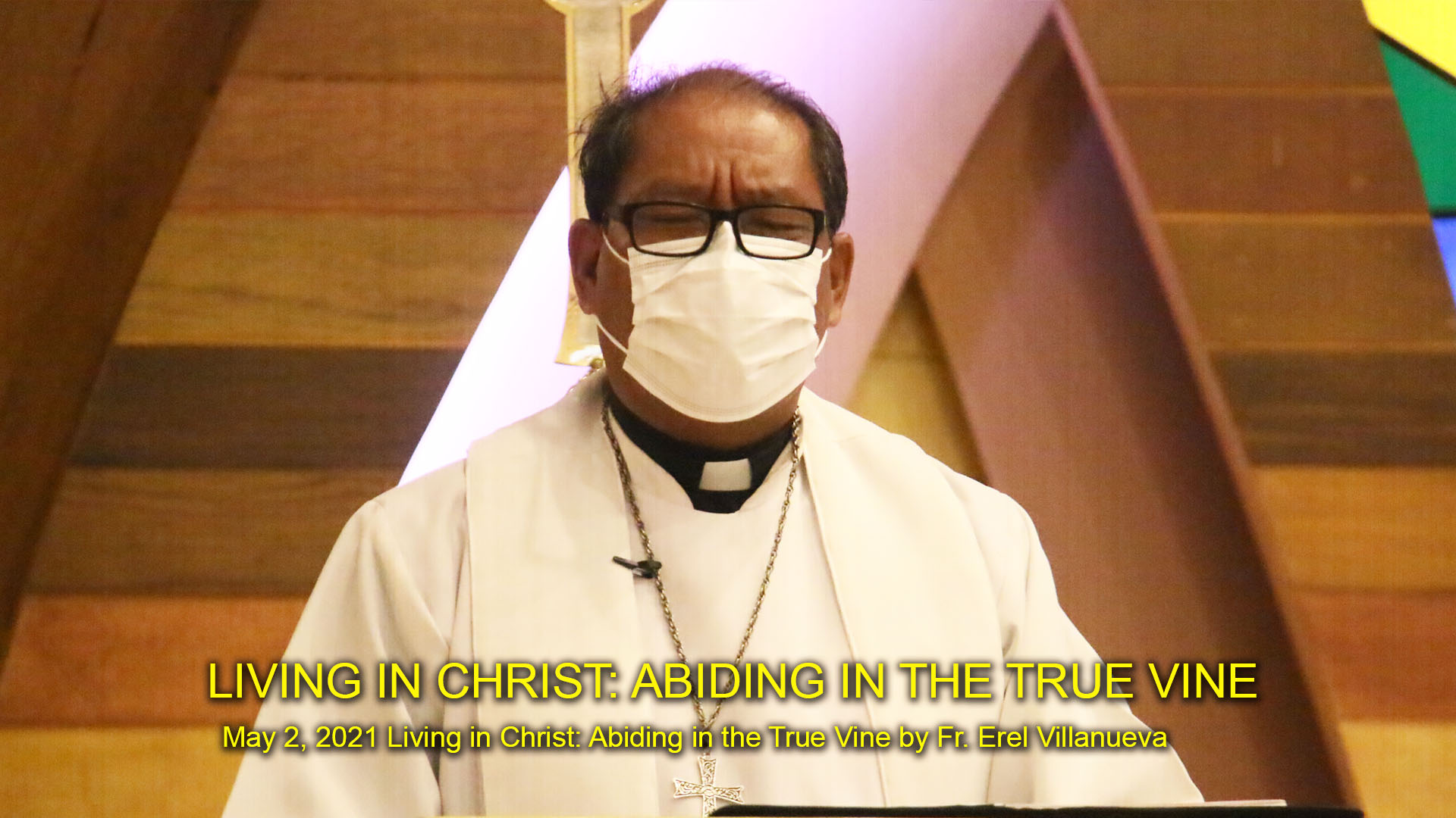 Living in Christ: Abiding in The True Vine